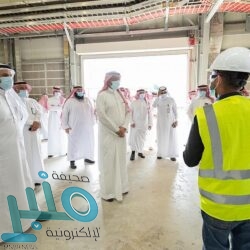 البيئة: معالجة 32380 هكتارًا لمكافحة الجراد في القصيم