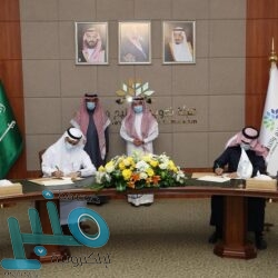 إيداع مليار و700 مليون ريال معاشات ضمانية للمستفيدين من الضمان الاجتماعي لشهر رجب