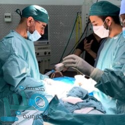 جوله ميدانية وتقييد 11 مخالفة بشرورة