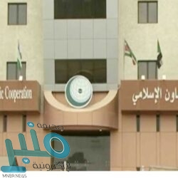 رئيس ديوان المظالم يصدر قرارًا بإجراءات طلبات التنفيذ المقدمة من الجهات الإدارية