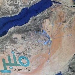 تجارة المدينة المنورة تضبط 7 مخالفات خلال جولاتها الرقابية