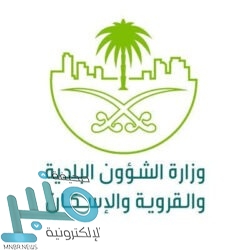 «التعاون الإسلامي» تدين محاولة الحوثيين استهداف خميس مشيط