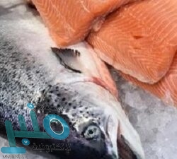 “شاومي” تستعد لإطلاق أول هاتف قابل للطي في مارس المقبل