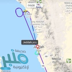 إبراهيموفيتش ضحية إهانات عنصرية في بلغراد