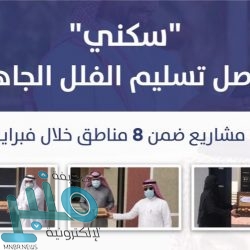نائب قائد القوات الجوية يقف على استعدادات الأطقم الجوية المشاركة في التمرين (السعودي – اليوناني)