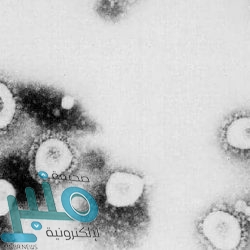 لقطة نادرة.. بكاء إبراهيموفيتش بعد “سؤال شخصي”