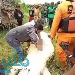 “منشآت”: 60 شركة متوسطة تتجه للتحول إلى التجارة الإلكترونية