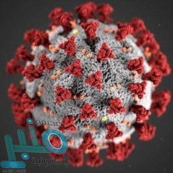 الاتفاق تم.. نجم ليفربول يقترب بشدة من برشلونة