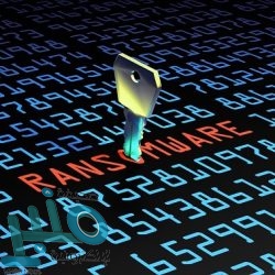 5 أطعمة يجب تناولها عند الإصابة بالإسهال.. وأخرى عليك تجنبها