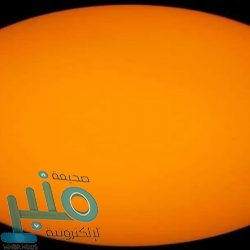 ” الإحصاء” توضح حقيقة استخدام الرقم الموحد في التحايل