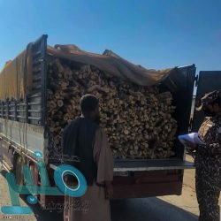 تراجع أسعار النفط 1%.. و”برنت” عند 63.80 دولارًا للبرميل