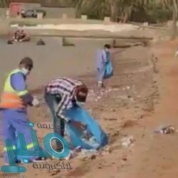 إنقاذ عشرات الدلافين التي جنحت على شاطئ أملج