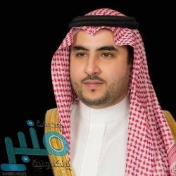 مصر تدعو الأطراف اليمنية للتجاوب مع المبادرة السعودية: خطوات تحقن الدماء