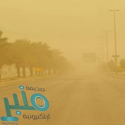 القوات البحرية تختتم مناورات تمرين “التصدي 4”