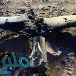 أمين منطقة تبوك يوجه بالتحقيق في فيديو شاطئ حقل