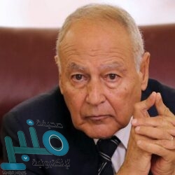 مقتل 43 حوثيًا في معارك مع الجيش اليمني غرب مأرب