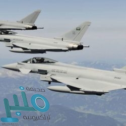 مصر تدعو الأطراف اليمنية للتجاوب مع المبادرة السعودية: خطوات تحقن الدماء