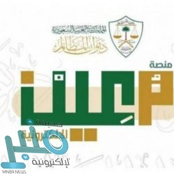 ضبط “9” مخالفين لنظام البيئة بحوزتهم كمية من الحطب المحلي المعروض للبيع