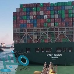 “البيئة” تعلن بدء تنفيذ اللائحة الخاصة بالمواد المستنفدة لطبقة الأوزون والمركبات الهيدروفلورية