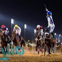 بلدية بارق تغلق 9 محطات و17 محلًا مخالفًا