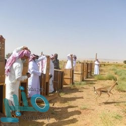 المذيعة عبير الوعل تبكي على الهواء خلال الحديث عن إصابتها بمرض “التصلب اللويحي”