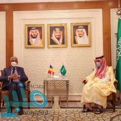 وزير المالية: تطوير نظام المنافسات والمشتريات الحكومية سيخلق فرصاً وظيفية