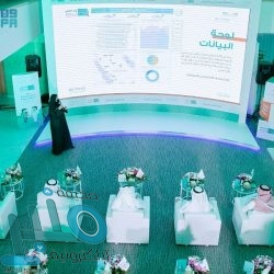 شاهد.. تدمير مخزن للطائرات بدون طيار في كهف بصنعاء