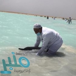 أمين منطقة تبوك يوجه بالتحقيق في فيديو شاطئ حقل