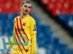 5 أطعمة يجب تناولها لتخفيف أعراض حساسية الربيع.. تعرف عليها