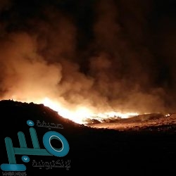 جامعة الباحة تنظم لقاءً حواريًا حول الاحتفاء باليوم العالمي للمرأة