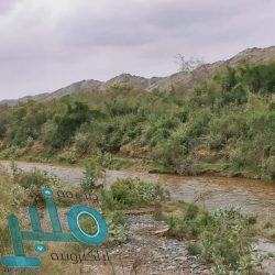 القيادة تهنئ رئيسة تنزانيا