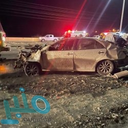 الحكومة اليمنية ترحب بمبادرة المملكة لإنهاء الأزمة في اليمن