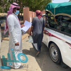 وزير الدفاع اليمني: قواتنا أصبحت في وضعية الهجوم بإسناد من “التحالف” بقيادة السعودية