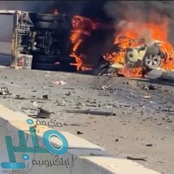 “البيئة” تكرِّم الجهات الحكومية والأهلية المشاركة في إنقاذ الدلافين بأملج