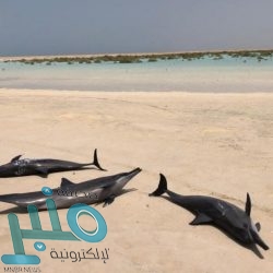 الطقس المتوقع غداً الخميس: استمرار نشاط الرياح المثيرة للأتربة والغبار على هذه المناطق