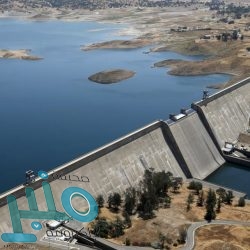 «النقل»: نهدف إلى الوصول لصفر وفيات على الطرق