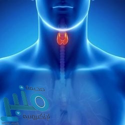 “واتساب” يطلق ميزة جديدة تعزز الخصوصية