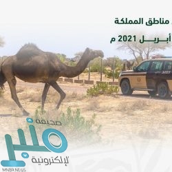 “الصندوق العقاري” يدعو ملاك 12 ألف شقة سكنية لتحديث بياناتهم