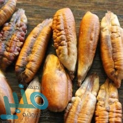 مايكروسوفت تطلق أول كاميرا ويب لها منذ 10 سنوات