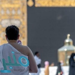 “البيئة” تضبط كميات من الحطب المحلي المستخدم في النشاط التجاري بالرياض