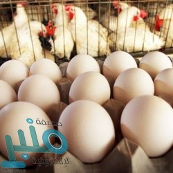 إنجاز 43% من أعمال البنية التحتية لمشروع النقل العام للحافلات بمكة المكرمة