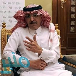 أبرزها مأرب.. الجيش اليمني يعلن تحقيق مكاسب ميدانية في 6 محافظات