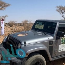 “التعاون الإسلامي” تدين استمرار ميليشيا الحوثي في إطلاق الطائرات المفخخة باتجاه المملكة