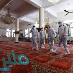 طلعت حافظ: اليوم معلوماتنا متاحة للكثيرين.. وهكذا يمكن تجنب عمليات الاحتيال عبر الإنترنت