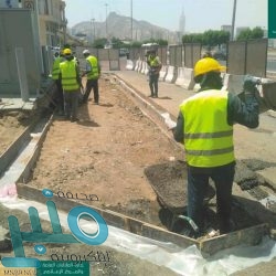 “البيئة” تحذر من منتجات دواجن محلية بالأسواق غير مطابقة للمواصفات