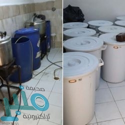 وزارة الثقافة تصدر دليل “اقتناء الأعمال الفنية” للجهات الحكومية