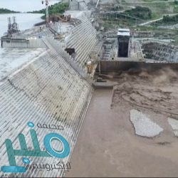 شرطة مكة المكرمة تلقي القبض على مقيم امتهن سرقة ما في داخل المركبات