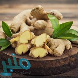 الإمارات تعلن تأييد قرار المملكة بحظر دخول المنتجات الزراعية اللبنانية