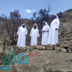 رئيس الديوان العام للمحاسبة يدشن الموقع الإلكتروني الجديد للديوان