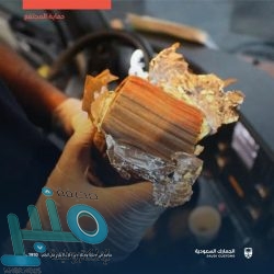 الزكاة والدخل تضبط 2300 مخالفة ضريبية منذ بداية شهر رمضان